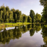 Osterwieck_090923_028-1920w